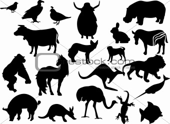 Animals black silhouettes