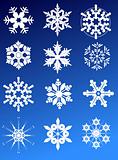 Twelve snowflakes
