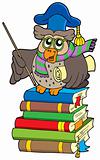 Owl teacher with parchment on books