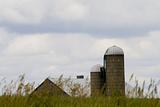 old farm - rural scene