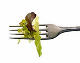lettuce leaves on fork