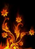 Flowers flame