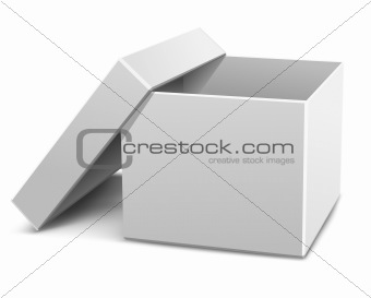 white empty opened cardboard box