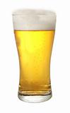 A glass of beer with thick head