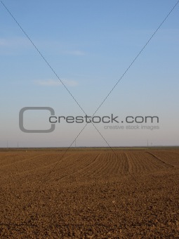 Tilled field