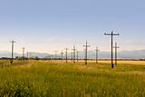 Electric Poles in Perspective - Country