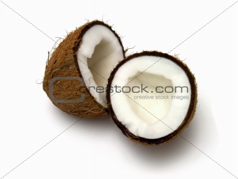 coconut
