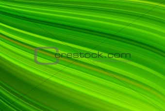 Green lines