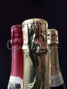 champagne bottle 3
