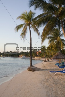 Jamaican Beach