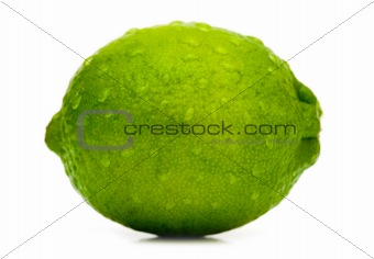 Lime with water drops 