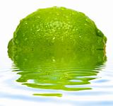 Lime with water drops and reflection on water