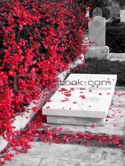 Petals on Grave