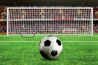 football - penalty in the stadium