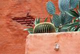 Mexican Home Detail