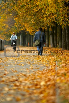 Walk in autumn park