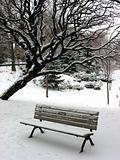 Winter bench 1