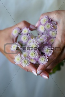 Heart from chrysanthemums