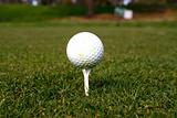 Golfball on the grass