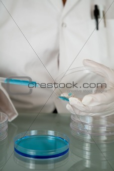 Petri dish and chemicals