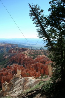 Bryce Overlook with Trees
