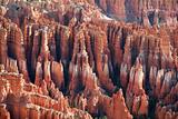 Bryce Canyon Close Up View