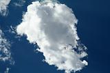 Lonely Cloud in the Sky
