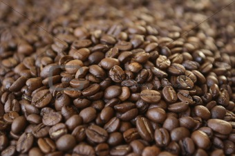 It is a lot of grains of coffee