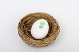 Nest Egg Dollars