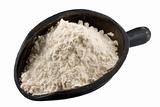scoop of wheat flour or other white powder