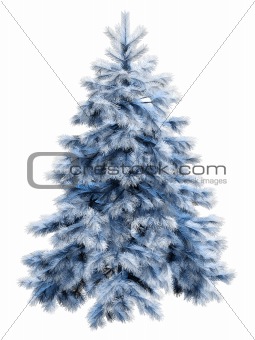 Blue christmas tree with clipping path