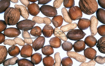 Detail of nuts
