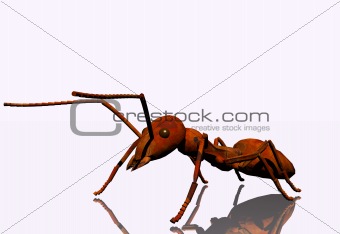 3D Ant