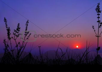 Sunrise Scene