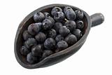 scoop of fresh blueberries