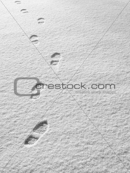Snowsteps