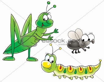 Grasshopper, caterpillar and fly
