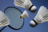 Badminton action