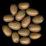 pecan nuts in shells on black