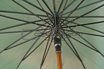 umbrella detail