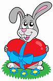 Valentine rabbit with heart