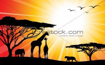 Africa / safari - silhouettes 