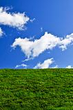 Blue sky and green field