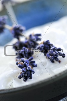 Lavender cream