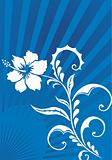 beautiful floral ornament, blue vector illustration