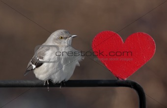 Mockingbird With A Heart
