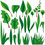 Green Plants Set