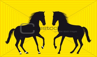Silhouette of two horses