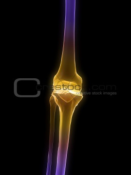 highlighted knee