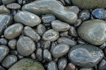 Pebbles on beach 0006
